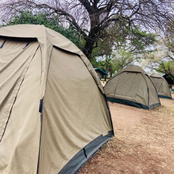 Standard Tent
